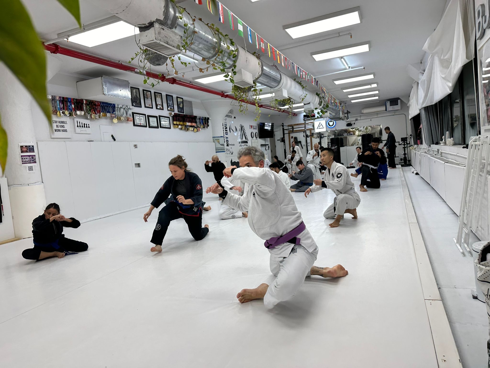 Why New Yorkers Need Brazilian Jiu-Jitsu: 7 Compelling Reasons for Self-Defense